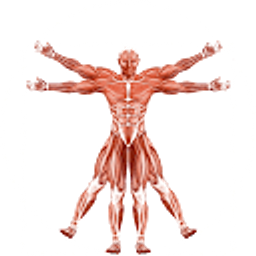 Dr. Muscle